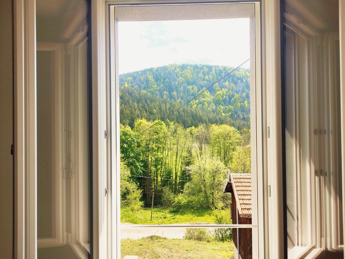 ⁂⁂ Le Chamois Appartement Cledicihome / Magnifique Vue Sur Les Montagnes / 4 Kms De Gerardmer ! ⁂⁂ Rochesson Eksteriør bilde