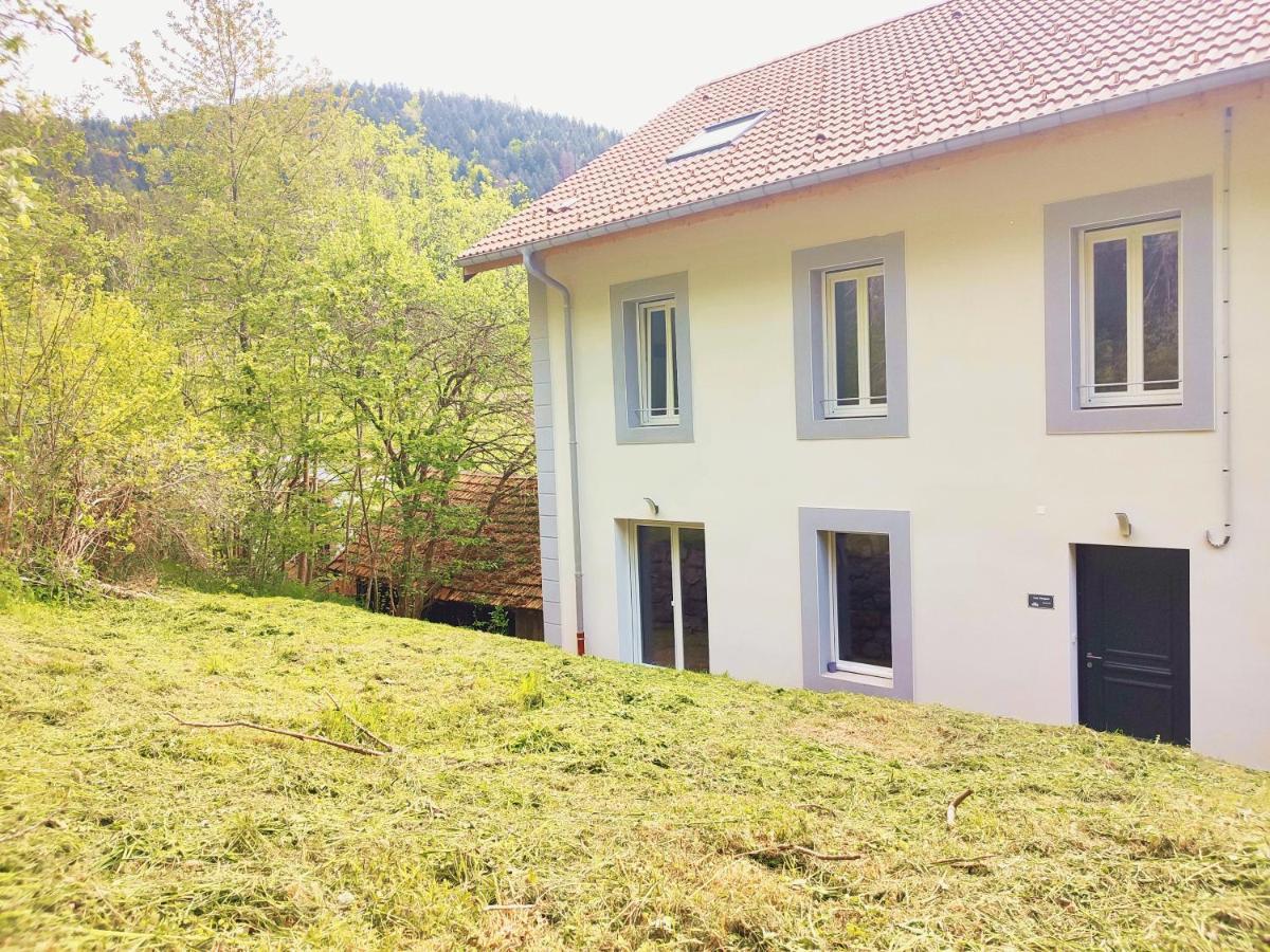 ⁂⁂ Le Chamois Appartement Cledicihome / Magnifique Vue Sur Les Montagnes / 4 Kms De Gerardmer ! ⁂⁂ Rochesson Eksteriør bilde